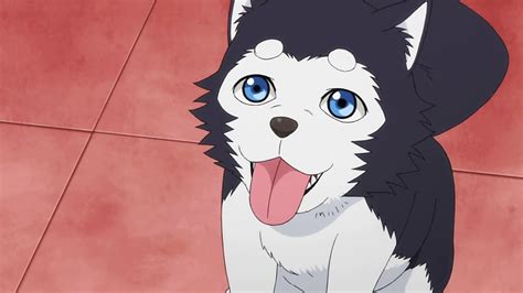 anime hunde|anime pets.